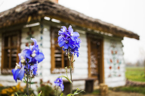 Zalipie - malowana chata znajdująca się przed Domem Malarek