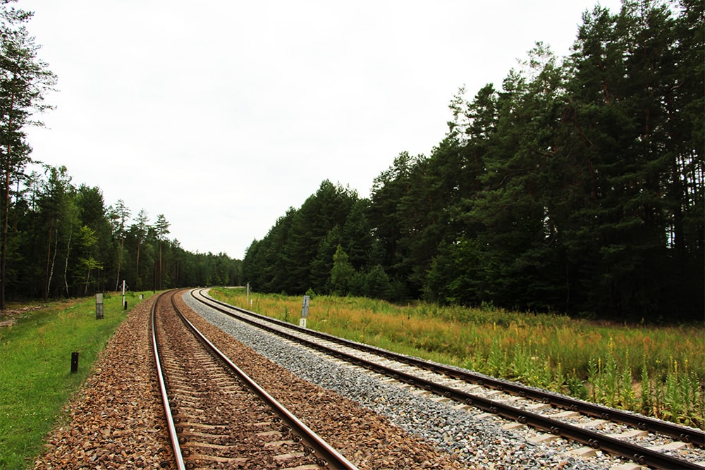 Roztoczański park narodowy przejazd kolejowy