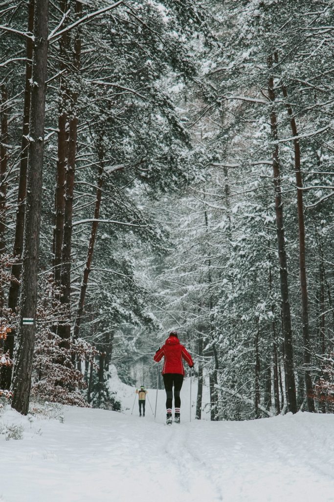 narty biegowe z rzeszowa